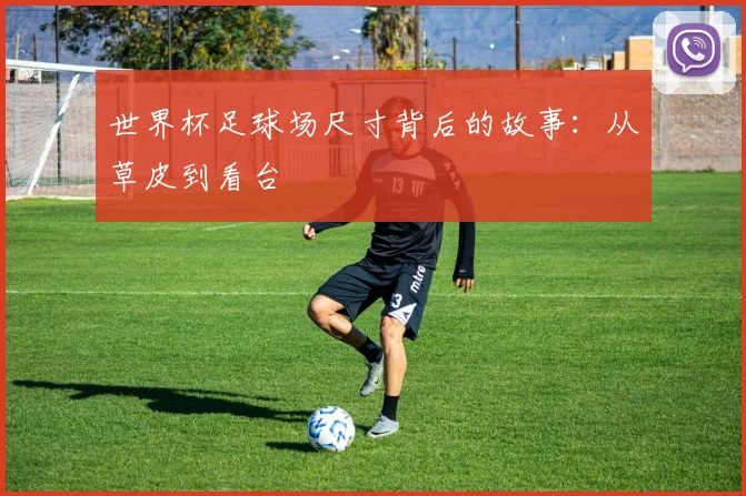 世界杯足球场尺寸背后的故事：从草皮到看台