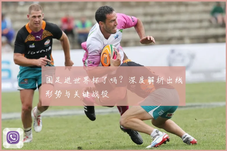 国足进世界杯了吗?深度解析出线形势与关键战役