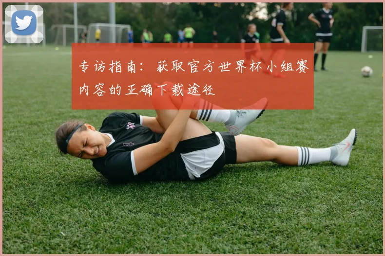 专访指南:获取官方世界杯小组赛内容的正确下载途径