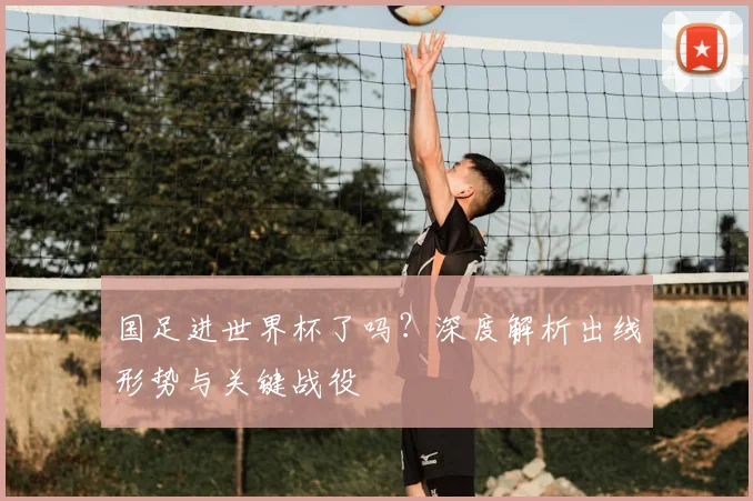 国足进世界杯了吗?深度解析出线形势与关键战役