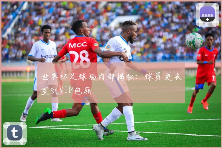 世界杯足球场内部揭秘：球员更衣室到VIP包厢
