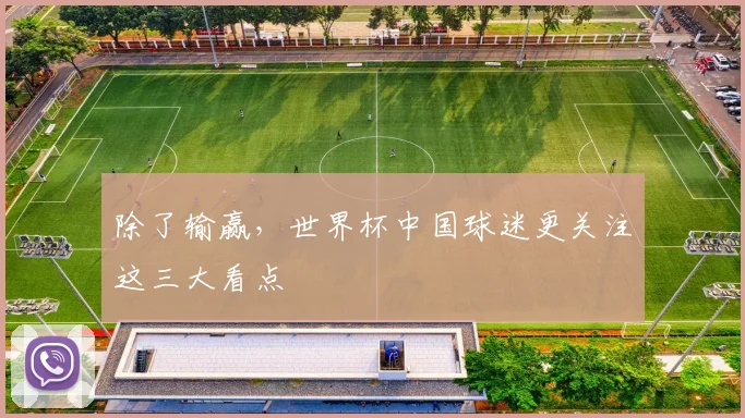 除了输赢，世界杯中国球迷更关注这三大看点