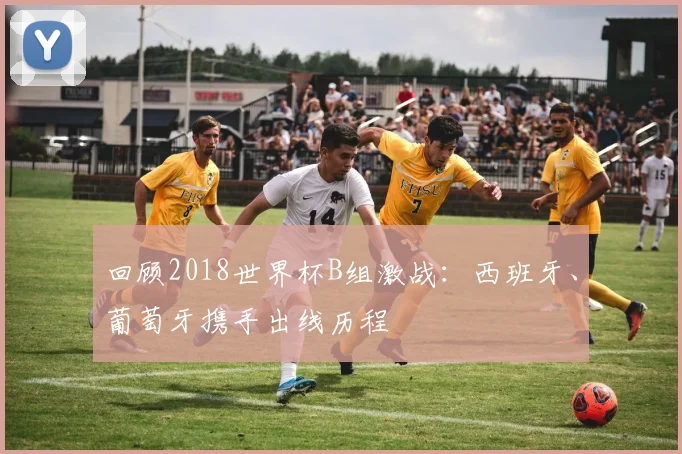 回顾2018世界杯B组激战：西班牙、葡萄牙携手出线历程